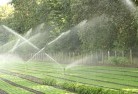Benjaberringlandscaping-water-management-and-drainage-17.jpg; ?>