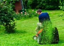 Kwikfynd Lawn Mowing
benjaberring